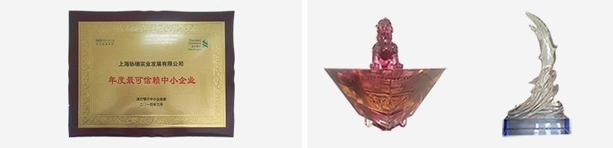 荣誉历程2.png